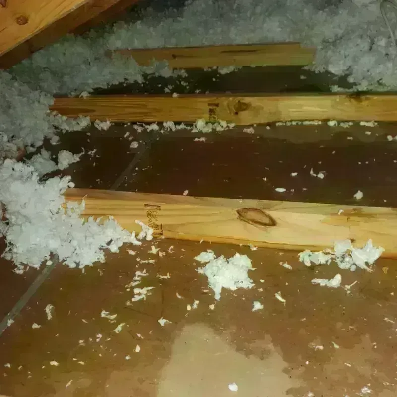 Attic Water Damage in New Philadelphia, PA