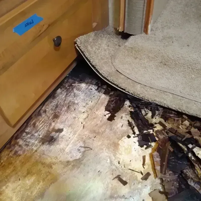 Wood Floor Water Damage in New Philadelphia, PA